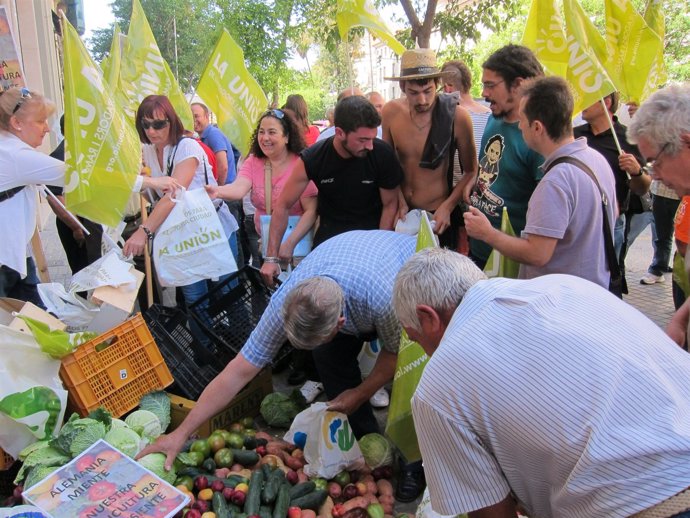 Agricultores Recogen La Fruta Y Verdura Para Entregarla A Los Jóvenes Del 15-M