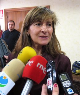 Rosario Casero, Directora General De Negocios Del ICO