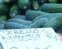 Dos empresas granadinas regalarán pepinos por comprar un pollo para demostrar la calidad del producto