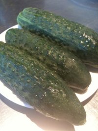 El laboratorio de referencia español ratifica que los pepinos no causaron el brote de 'E.coli' en Alemania