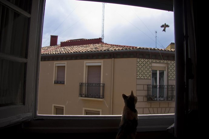 Una De Las Fotos De La Muestra