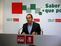 Renuncia más de la mitad de la Ejecutiva del PSOE en Almería por discrepancias con Soler y Asensio