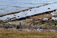 M.Continúa la limpieza del litoral tras retirar 23 toneladas de mezcla residuos con arena y agua