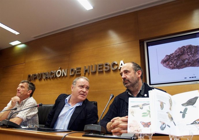 La Guía Ha Sido Presentada Este Viernes