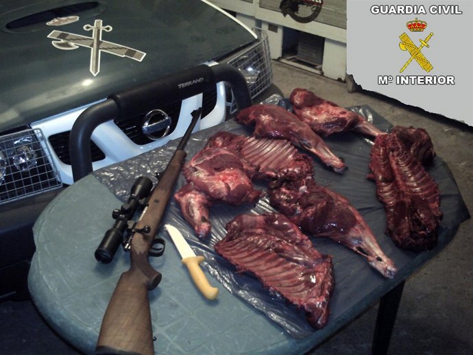 El Arma Y La Carne De Jabalí Intervenidas 