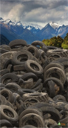 Neumáticos Fuera De Uso