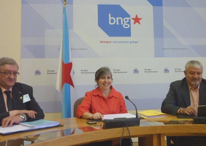 Ana Luísa Bouza, Diputada Del BNG