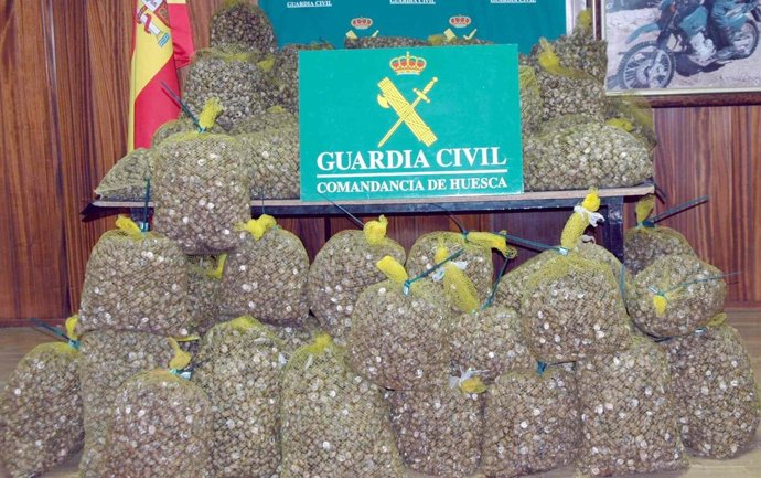 Parte De Los Caracoles Intervenidos