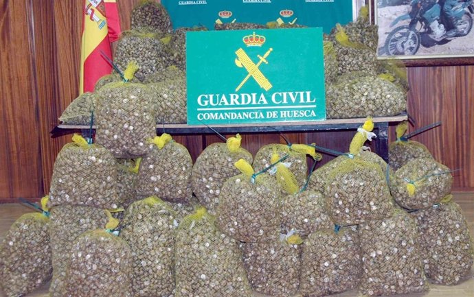 Parte De Los Caracoles Intervenidos