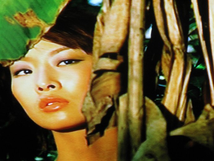 Nota De Prensa Ciclo De Video Arte Museo Vostell Malpartida