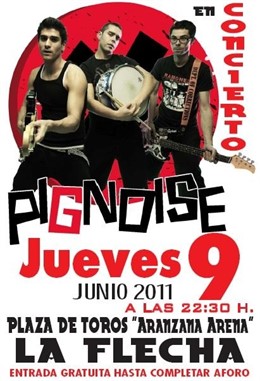 Cartel Del Concierto De Pignoise