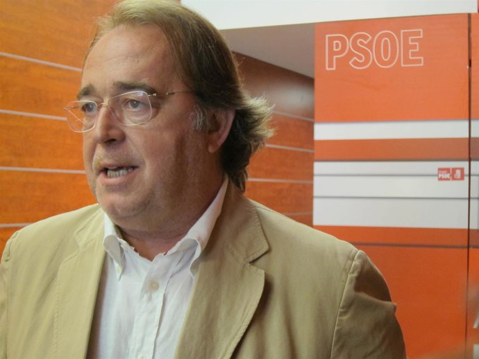El Vicesecretario De Acción Electoral Del PSOE-Aragón, Carlos Pérez Anadón.