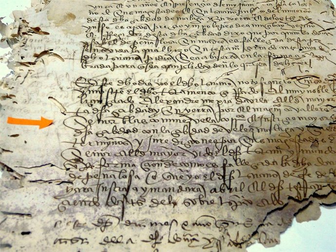 Muestra Documento Del Mes Que Acoge El Archivo Histórico Provincial De Málaga