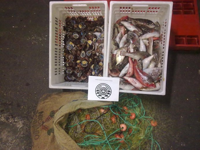 NOTA DE PRENSA Y FOTO. SALUDOS