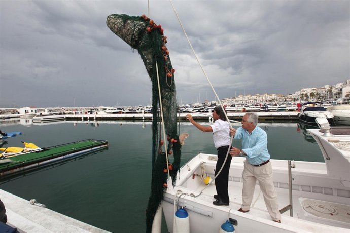 Cadáver Del Cetáceo Varado En La Playa De Puerto Banús