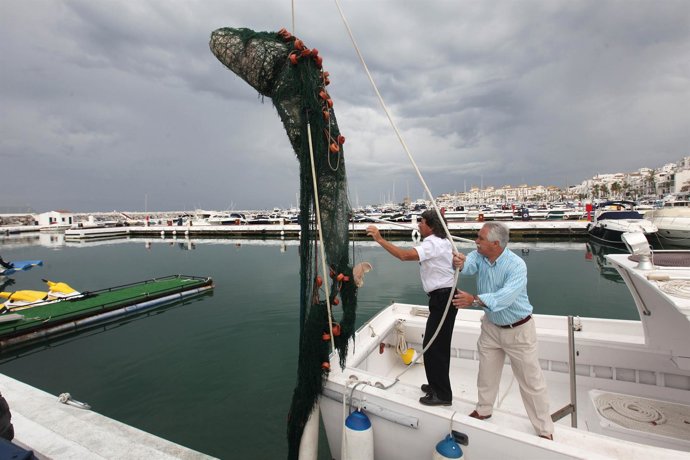 Cadáver Del Cetáceo Varado En La Playa De Puerto Banús