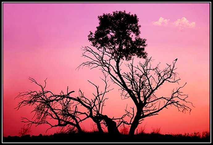 José Ángel Palao, Hasta El 25 De Junio En El Ateneo De Valencia