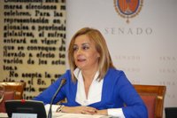 PSOE acusa al PP de cuestionar las cuentas de C-LM para "esconder su incompetencia"