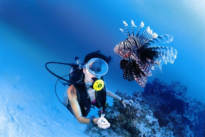 Turismo náutico y de buceo