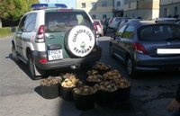 Tres nuevos furtivos, vecinos de Ferrol, elevan a 14 los imputados en la 'Operación Capacho'