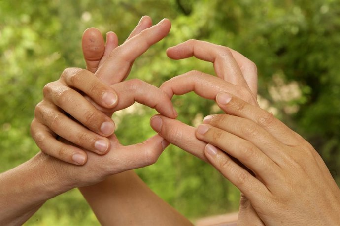 Lengua de Signos