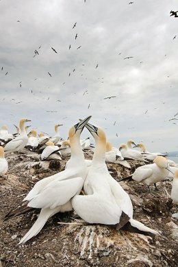 Exposición Sobre La Atmósfera En El Museo De Educación Ambiental.