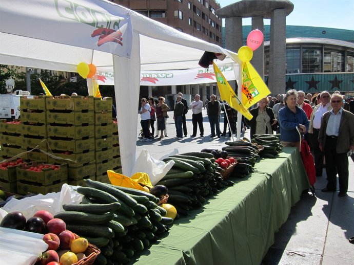 Reparto De Frutas Y Hortalizas En Madrid