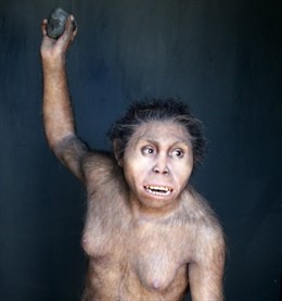 Recreación De Los Homínidos Del Yacimiento De Dmanisi (Georgia)