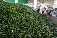 Los exportadores piden al Gobierno que demande a Bruselas por no asumir todos los daños