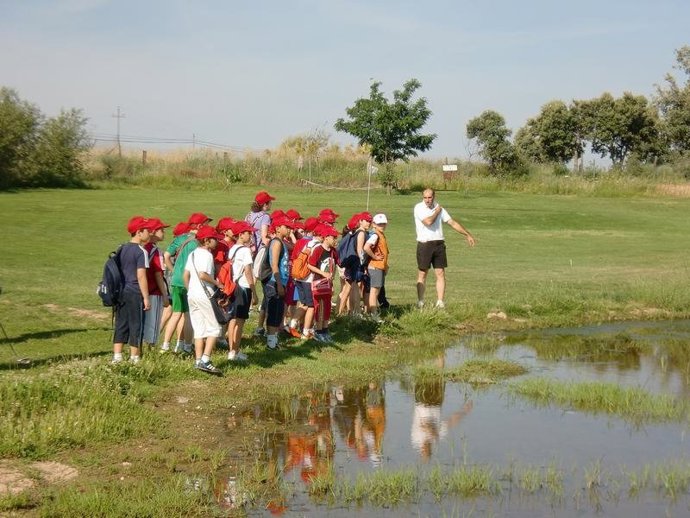 Niños Jugando Al Gold