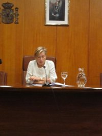 La Fiscal Superior considera "adecuado" el trabajo del Ministerio Público en la investigación sobre Vestas