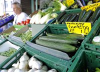 El PSOE anima a los agricultores a demandar a Alemania por la 'crisis del pepino'