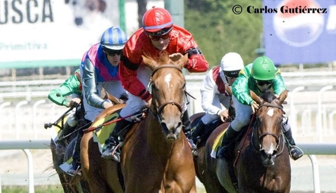 Turf Hipódromo La Zarzuela