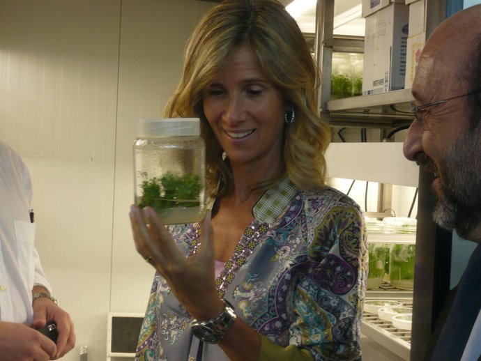 La Ministra De Ciencia Cristina Garmendia En La Inauguración Del CRAG