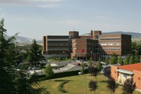 Una experta dice que encontrar el origen de la infección por 'E.coli' resulta difícil por la cantidad de afectados