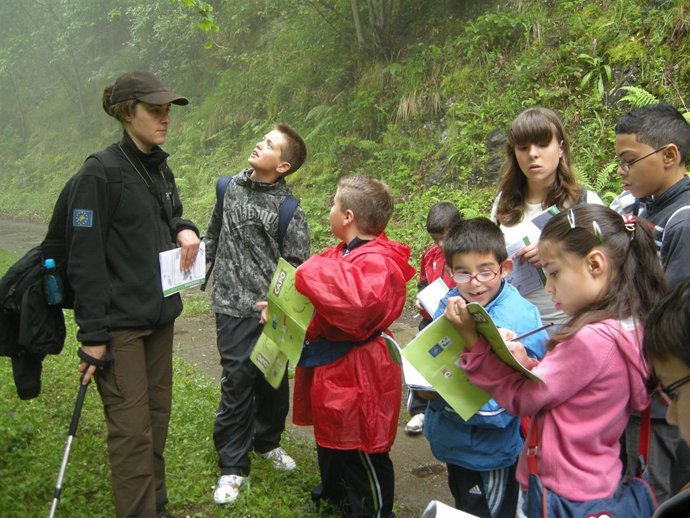 Fundación Oso Pardo