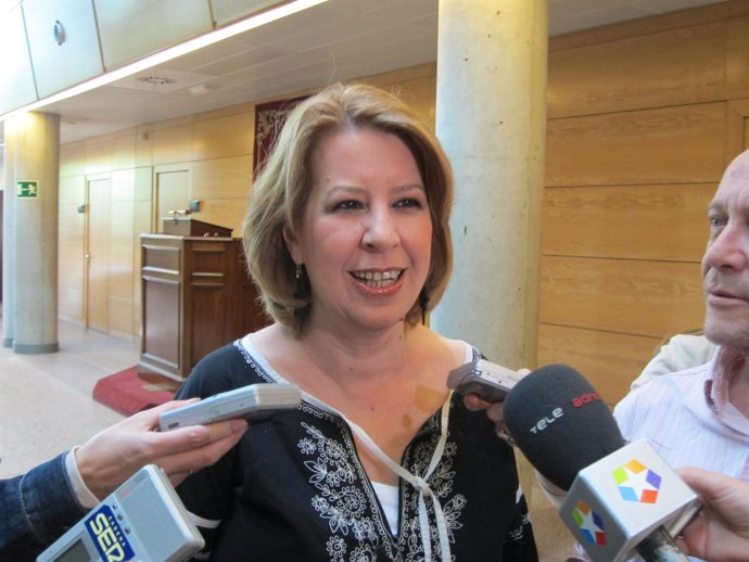 Maru Menéndez, Portavoz Adjunta Del PSM En La Asamblea De Madrid