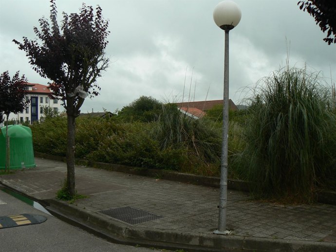 Finca Sin Desbrozar Y Con Falta De Limpieza En Colindres