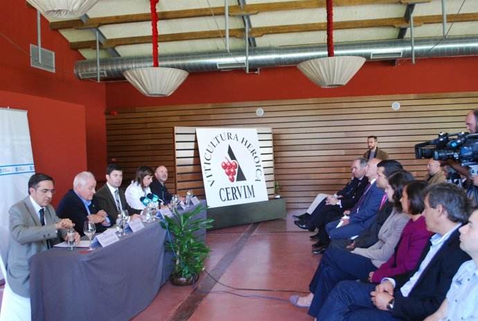 Presentación Marca Colectiva De Vino