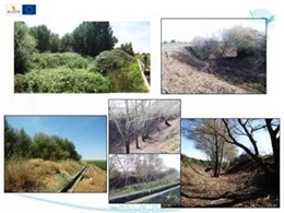 Evolución De Las Obras