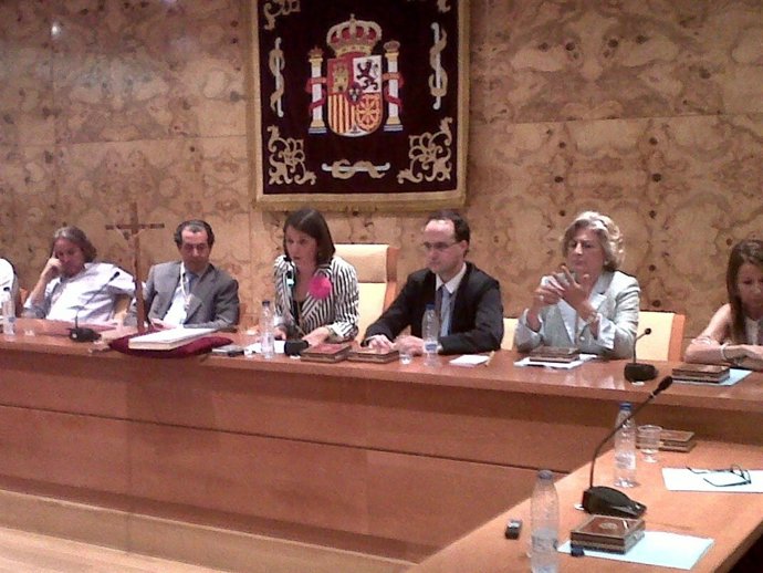 Pleno De Investidura De Torrelodones
