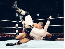 Lucha Libre Profesional