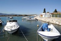Cádiz. -M.Hallan casi un centenar de peces muertos en el río Palmones, previsiblemente por falta de oxígeno