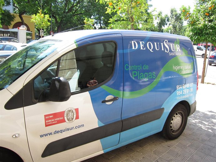 Fumigación En Los Juzgados De Sevilla