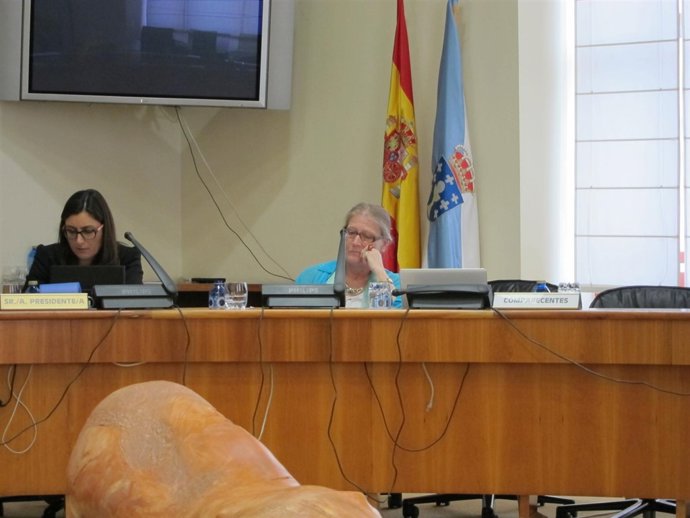 Comisión Parlamentaría De Demografía.