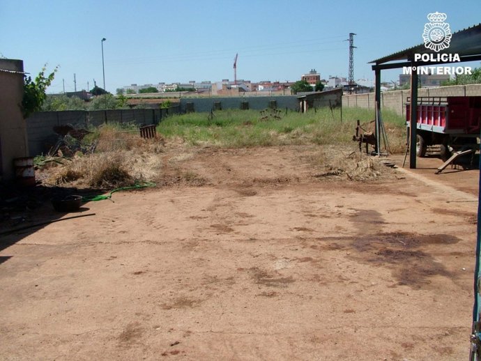 Policía Nacional (El CNP Detiene En Almendralejo A Dos Personas Por Varios Robos