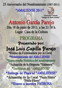 Cartel 'Amaliense 2011'