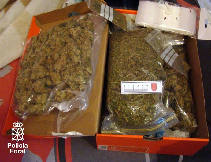 Droga Incautada Por La Policía Foral.