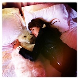 La Actriz Olivia Wilde Con Su Perro