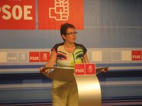 García Retegui (PSOE) asegura que su grupo en la Asamblea "sabrá hacer la doble labor de control e impulso" del Gobierno